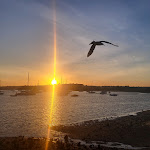 Photo n°4 de l'avis de Clemens.r fait le 28/08/2023 à 11:43 sur le  A Ribeira Alvor à Alvor