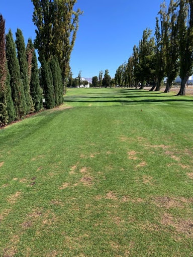 Golf Club «Golf Club Moffett Field», reviews and photos, 934 Macon Dr, Mountain View, CA 94043, USA