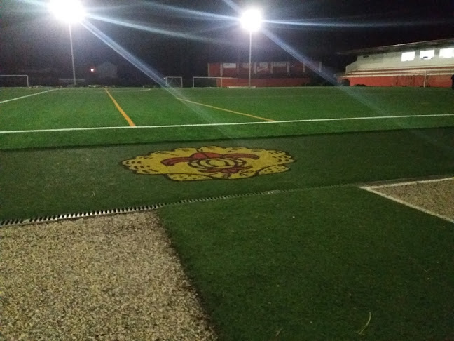 Rua Leiria, Estadio Albano Tomé Féteira Aptd. 39, Vieira De Leiria, Leiria, Portugal