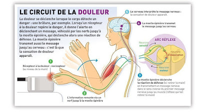 magnetiseur-coupeur de feu-marseille El djoudi brahim à Marseille