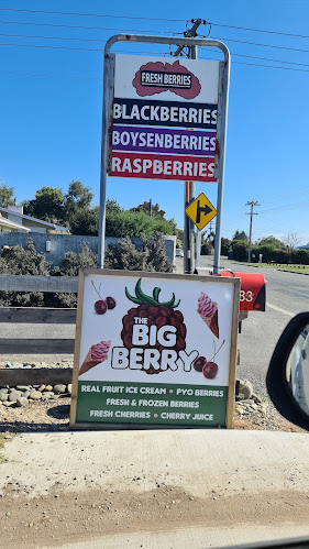 Comments and reviews of Motueka Berry Farm