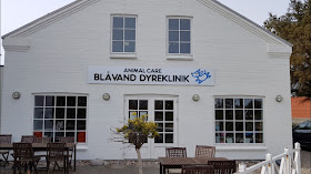 Animal Care - Blåvand Dyreklinik