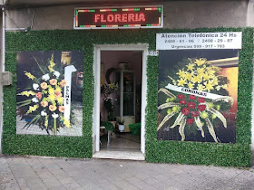 Floreria Green Garden