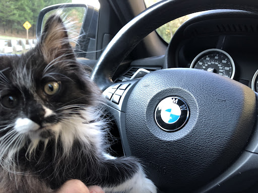 Auto Repair Shop «A&B German Car Care», reviews and photos, 5820 Pacific St #115, Rocklin, CA 95677, USA