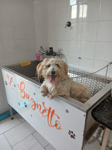 Pensioni per cani e dog hotel a Pet Love Boutique