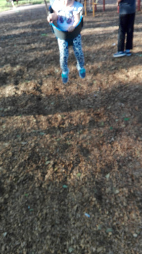 Park «Liberty Tree Park», reviews and photos, 7421 NW 5th St, Plantation, FL 33317, USA