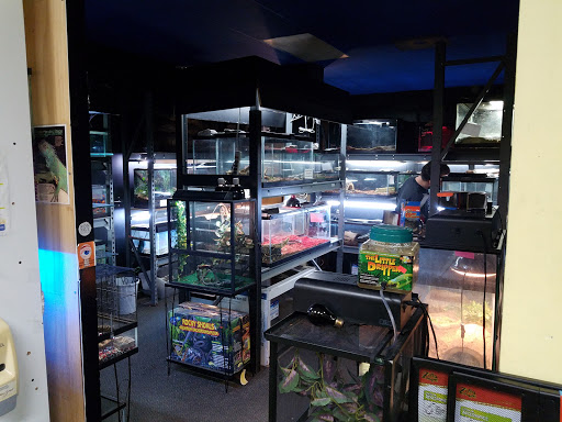 Pet Store «Wet Pet & Reptile Center», reviews and photos, 429 Eastern Blvd, Essex, MD 21221, USA