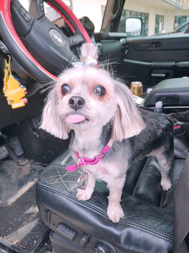 Pet Store «Essential Pet», reviews and photos, 17920 Cottonwood Dr, Parker, CO 80134, USA