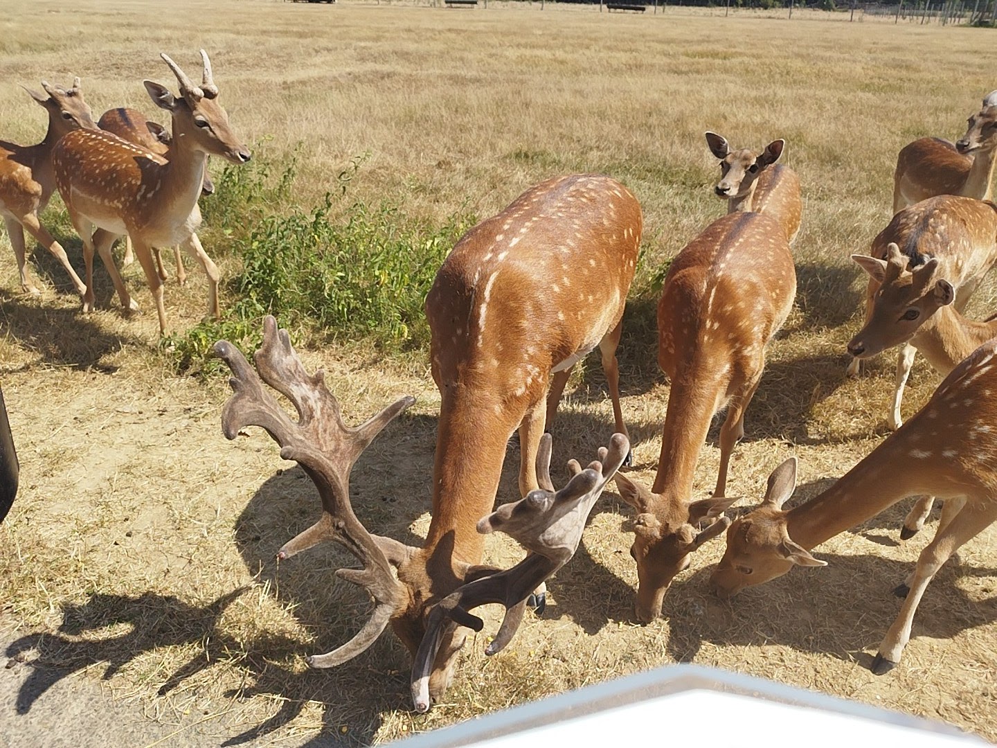 Photo n° 25 de l'avis de Key. fait le 19/07/2022 à 15:42