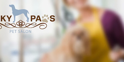 Lucky Paws Pet Salon