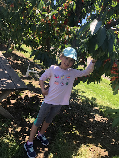 Produce Market «Washington Fruit Place At Barrett Orchards», reviews and photos, 1209 Pecks Canyon Rd, Yakima, WA 98908, USA