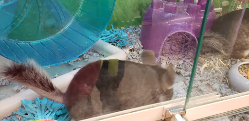 Pet Supply Store «PetSmart», reviews and photos, 291 Skokie Blvd, Northbrook, IL 60062, USA