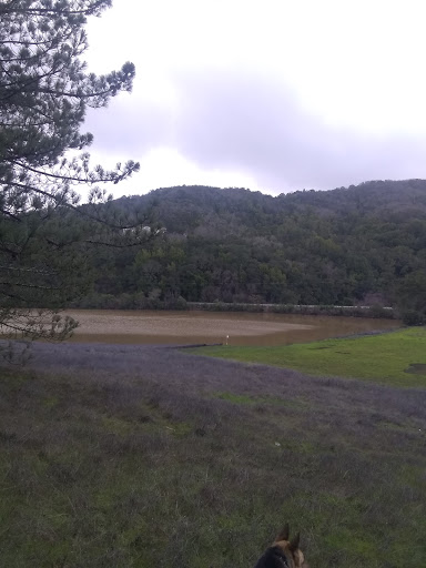 Uvas Canyon County Park image