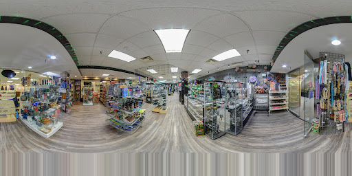 Find shark tattoo ideas for your next unique tattoo in Des Moines at Expo Piercing Ink