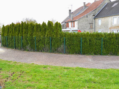 Le Brin d'Herbe à Langres