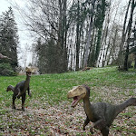 Photo n° 6 de l'avis de Di.a fait le 16/04/2018 à 15:52 pour PARC DINO-ZOO à Étalans