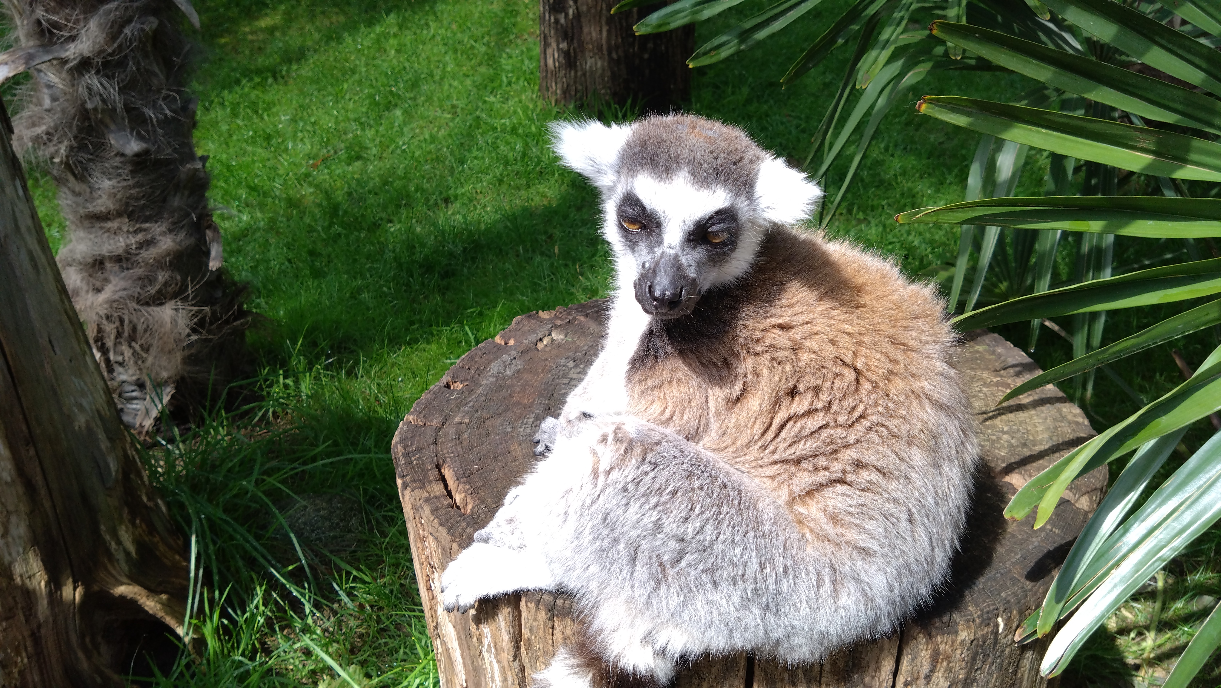 Photo n° 5 de l'avis de David.e fait le 28/05/2023 à 11:55