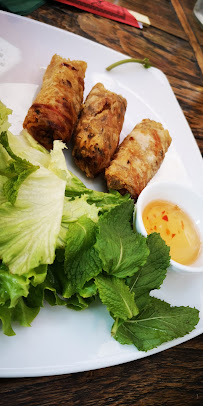 Rouleau de printemps du Restaurant vietnamien La Baie d'Halong à Mèze - n°3