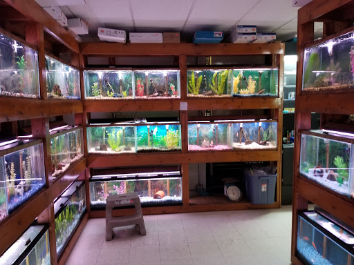 Pet Supply Store «All About Pets», reviews and photos, 9285 Cincinnati Columbus Rd, West Chester Township, OH 45069, USA