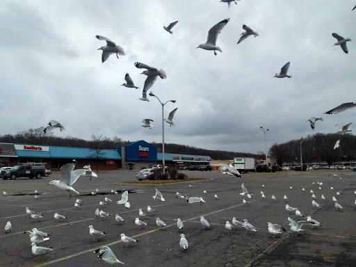 Shopping Mall «Sussex County Mall», reviews and photos, 15 Hampton House Rd, Newton, NJ 07860, USA