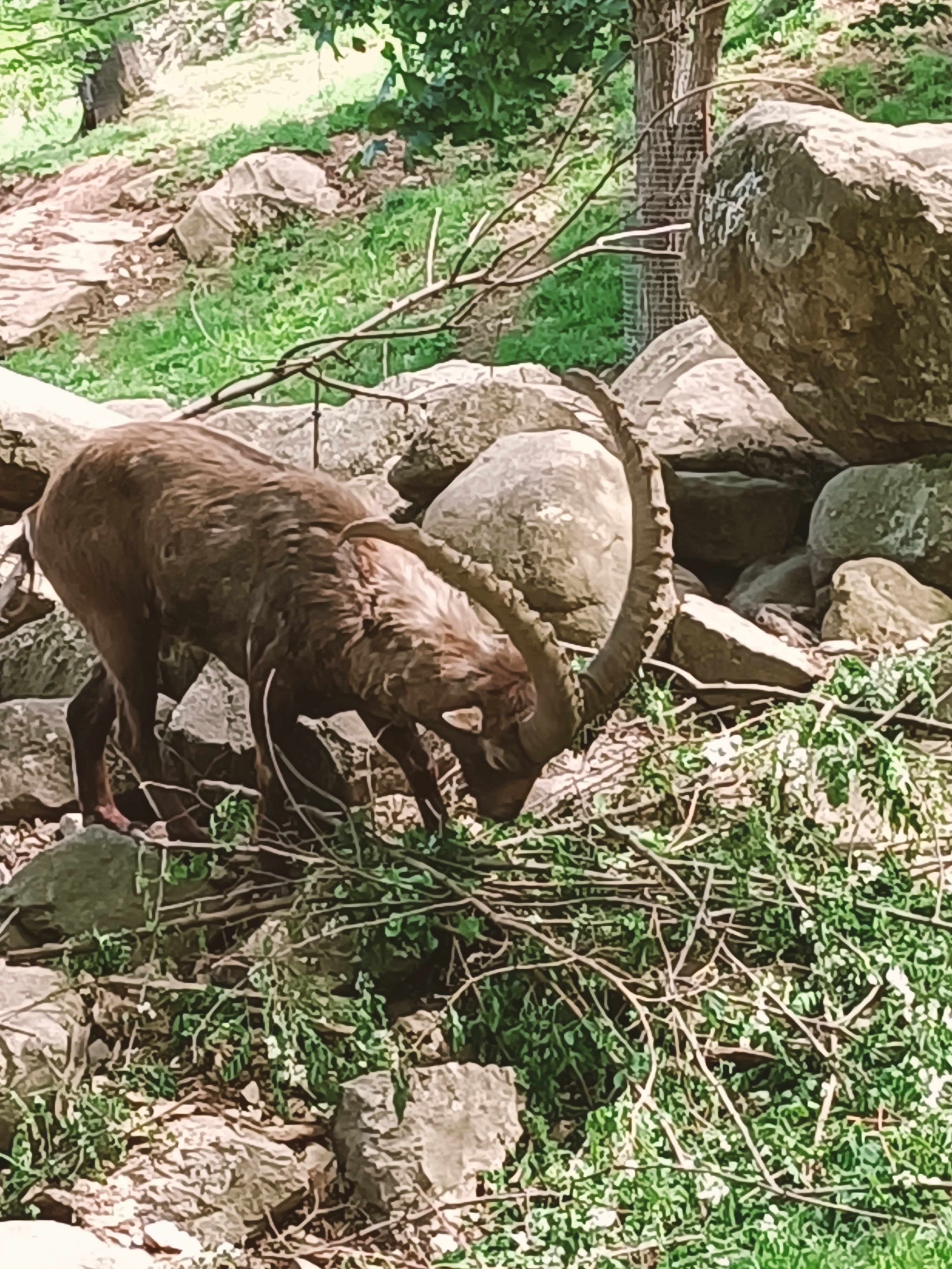 Photo n° 3 de l'avis de Sebastien.o fait le 02/05/2023 à 21:59