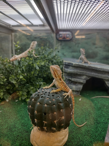 Pet Supply Store «Pet Supplies Plus», reviews and photos, 26230 Hoover Rd, Warren, MI 48089, USA