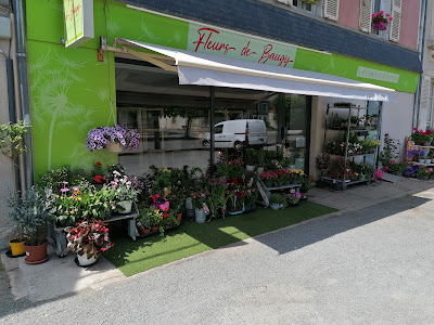 Fleurs de Baugy à Baugy