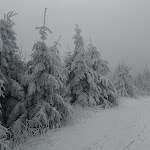 Photo n°6 de l'avis de laser.e fait le 13/11/2017 à 06:18 sur le  Panorama Hotel Oberwiesenthal à Oberwiesenthal