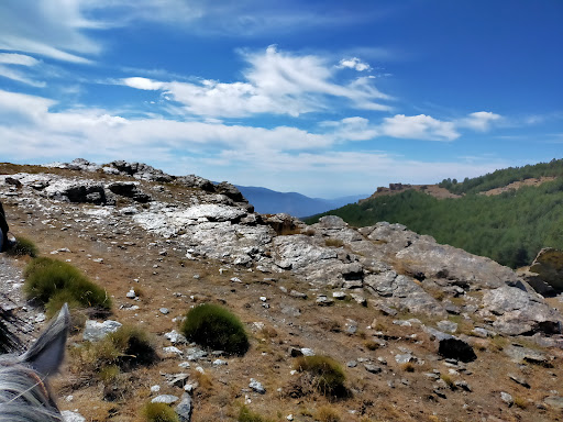 Sierra Trails