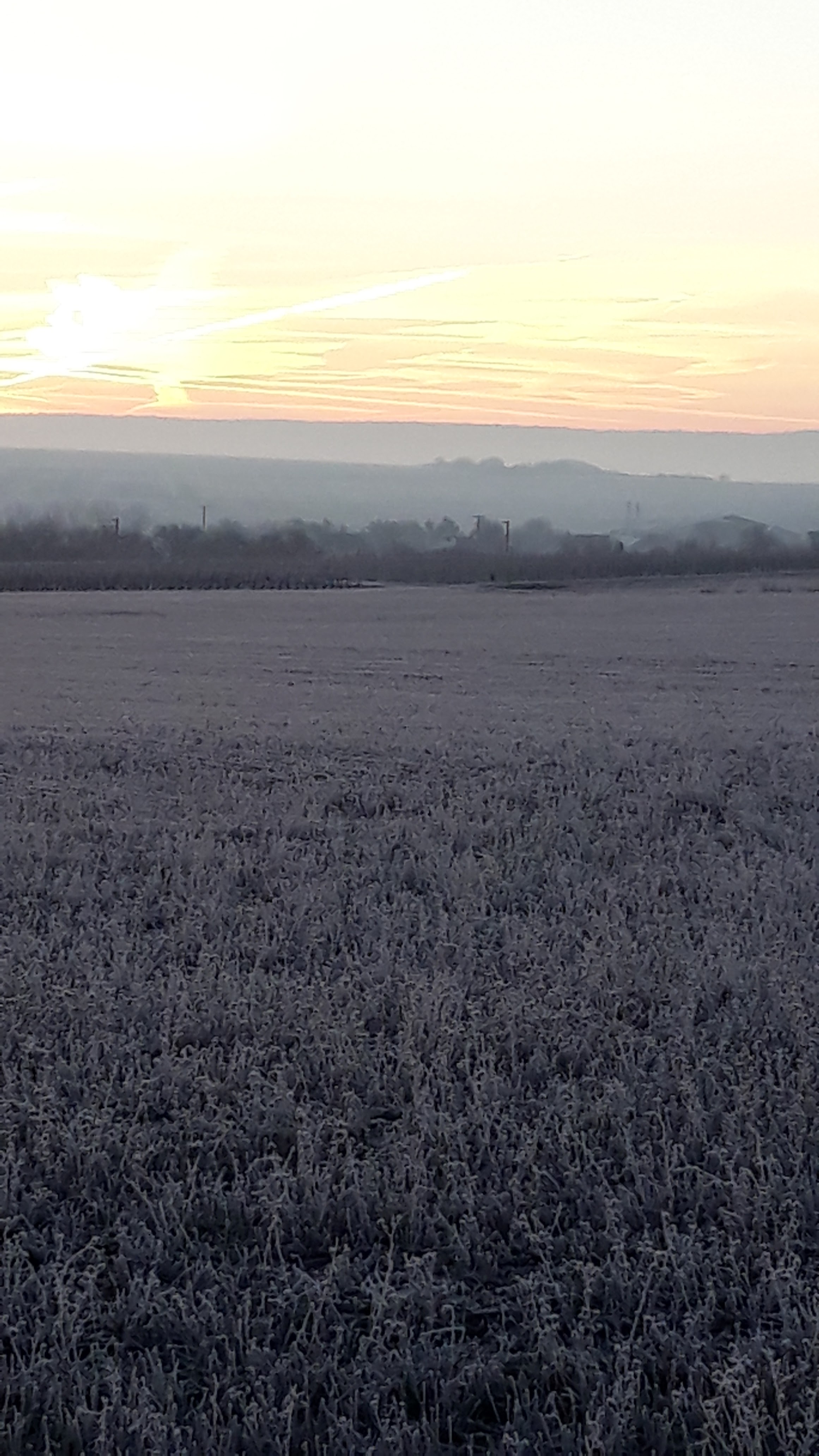 Photo n° 1 de l'avis de Veronique.e fait le 26/12/2018 à 09:00