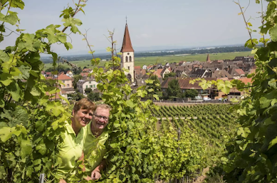 Simonis Jean-Marc Et Fils à Ammerschwihr