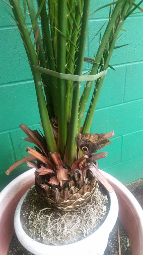 Garden «The Butterfly Place», reviews and photos, 120 Tyngsboro Rd, Westford, MA 01886, USA