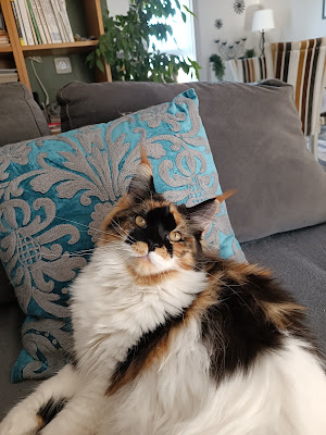 La Chatterie des Rives de l'Ouche à Sainte-Marie-sur-Ouche