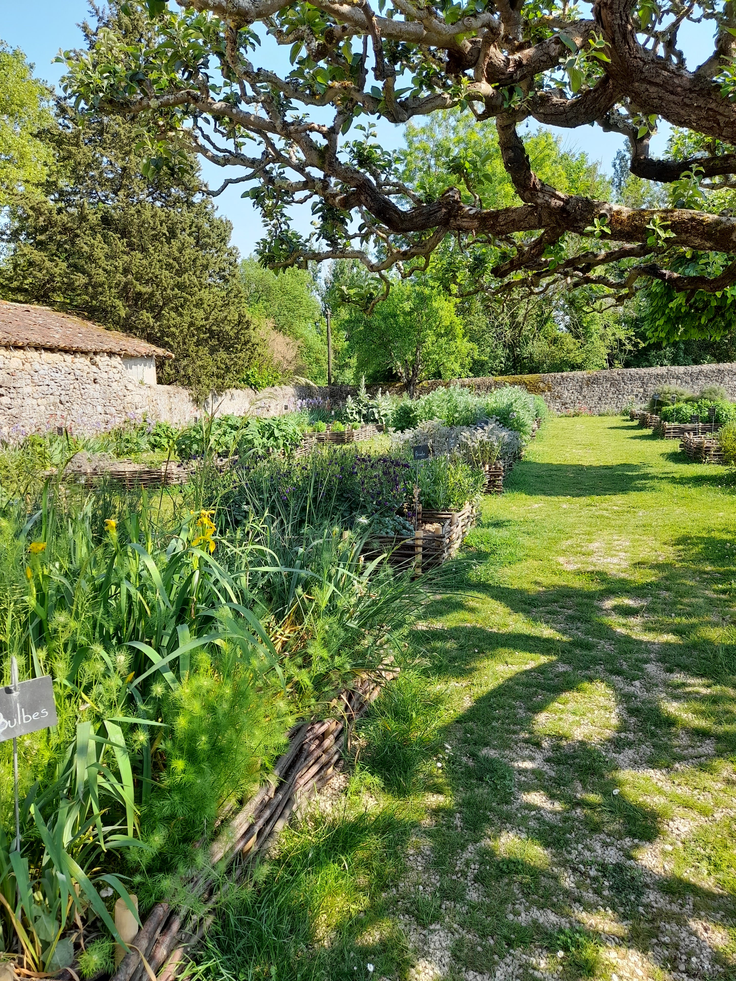 Photo n° 8 de l'avis de Marie.l fait le 13/05/2022 à 19:22