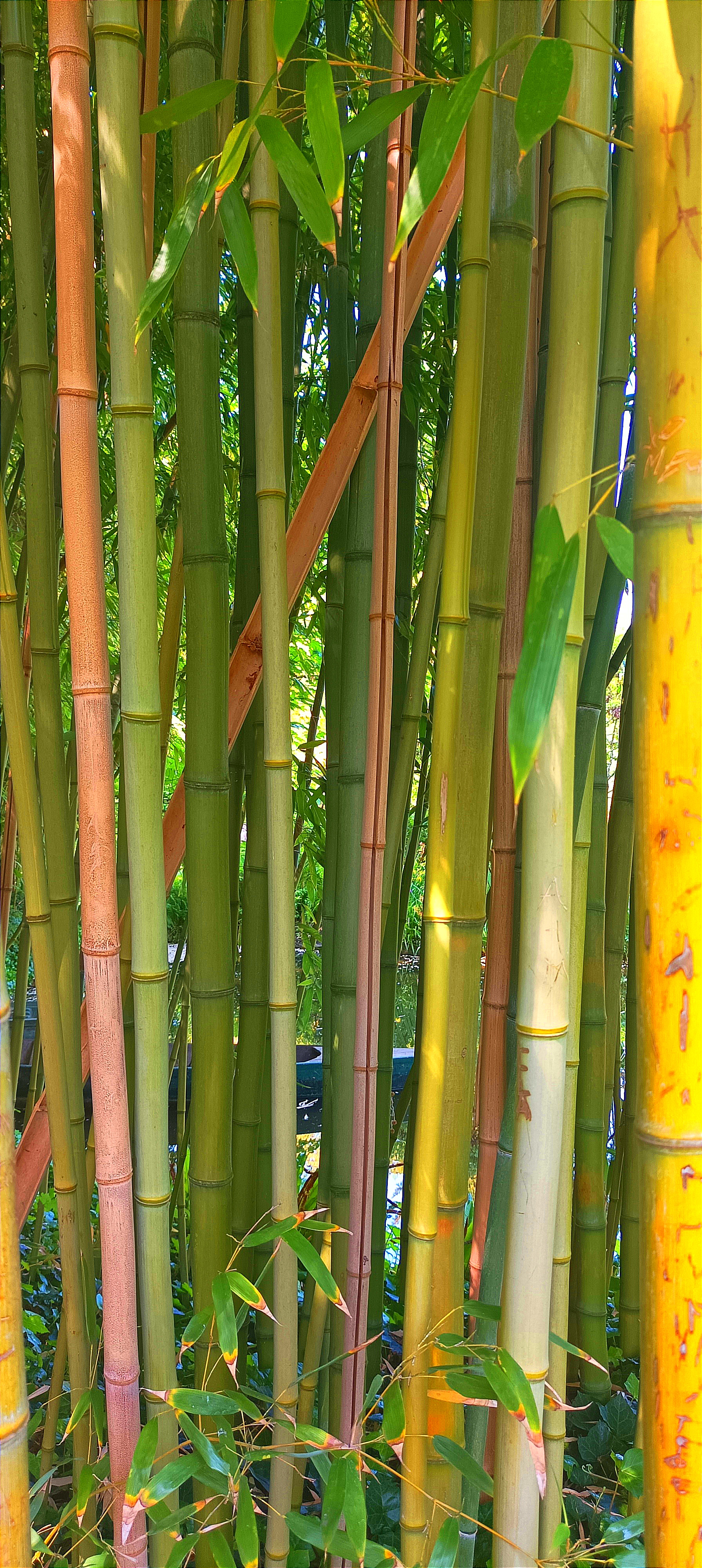 Photo n° 11 de l'avis de E. fait le 29/05/2023 à 21:25