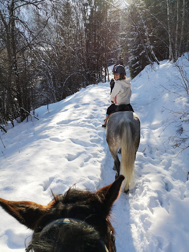 Centre Equestre du Mont Blanc à Les Houches