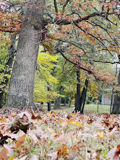 Tourist Attraction «Greensfelder Memorial Shelter», reviews and photos, 13236 Streetcar Dr, Maryland Heights, MO 63043, USA