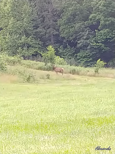 Visitor Center «Golden Pond Visitor Center & Planetarium», reviews and photos, 238 Visitor Center Dr, Golden Pond, KY 42211, USA