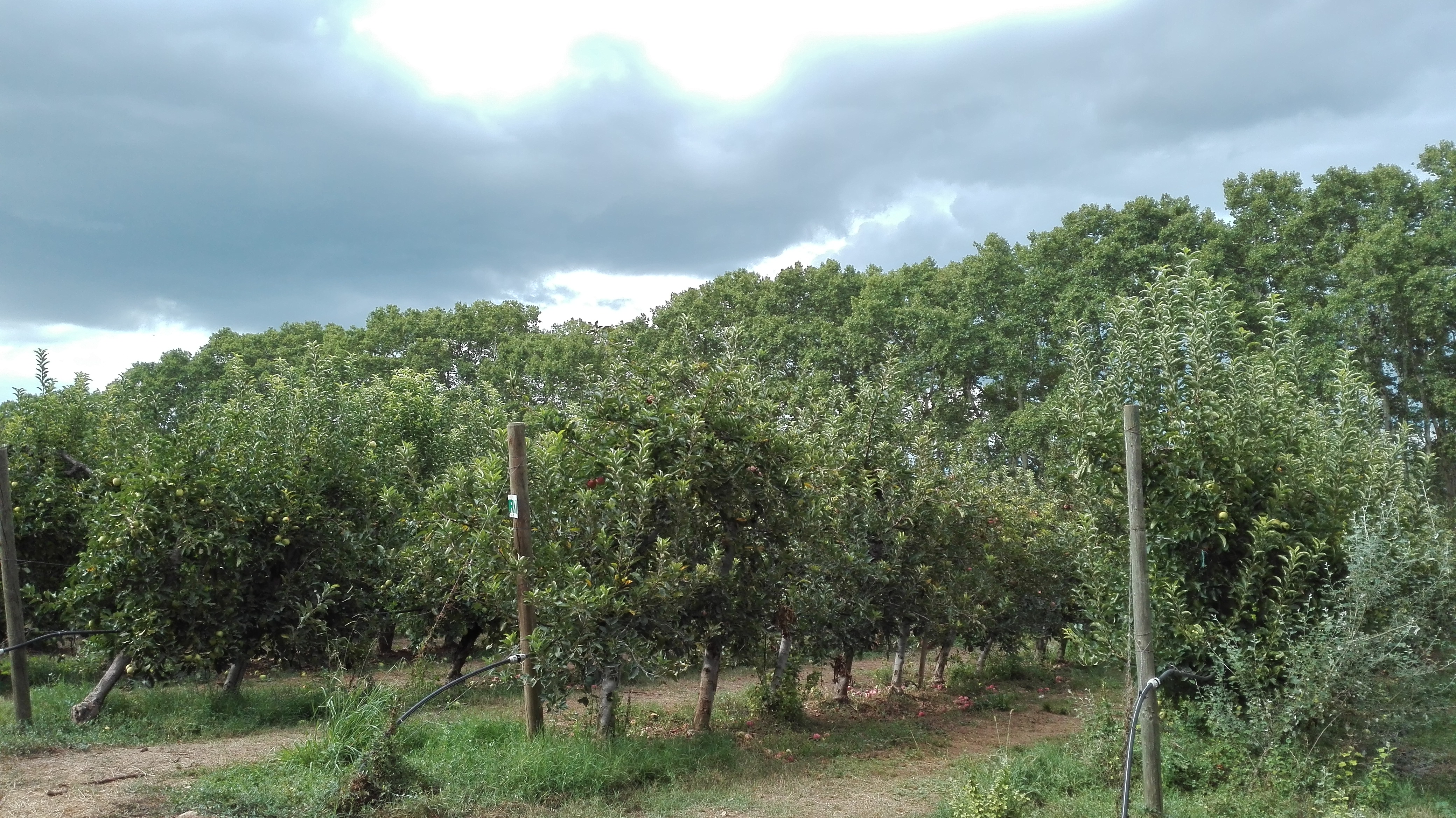 Photo n° 14 de l'avis de Mary.a fait le 31/08/2017 à 23:40