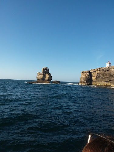 Restaurante Mesa da Ilha