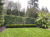 Green Leaf Tree Service LLC