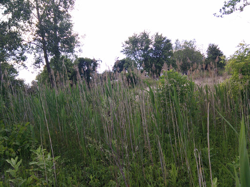 Park «Fort Gratiot County Park», reviews and photos, 3325 Metcalf Rd, Fort Gratiot Twp, MI 48059, USA