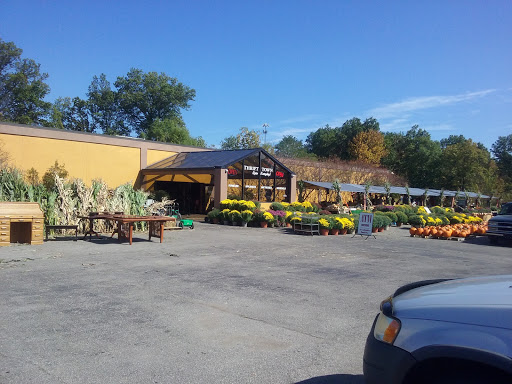 Thrift Town Treasures, 5130 Youngstown Warren Rd, Warren, OH 44484, USA, 