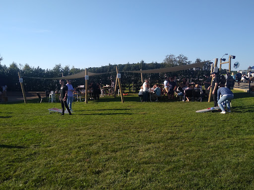 Vineyard «Baiting Hollow Farm Vineyard», reviews and photos, 2114 Sound Ave, Calverton, NY 11933, USA