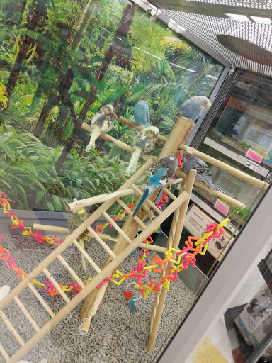 Pet Supply Store «Petco Animal Supplies», reviews and photos, 300 Hylan Dr, Rochester, NY 14623, USA