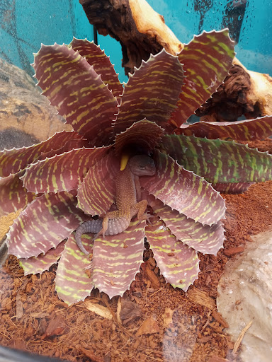 Pet Supply Store «Petco Animal Supplies», reviews and photos, 2714 Mountaineer Blvd, Charleston, WV 25309, USA