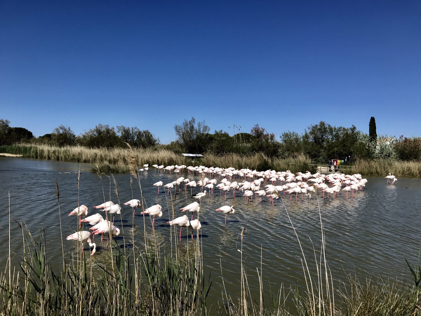 Photo n° 4 de l'avis de Raphael.U fait le 06/05/2019 à 09:40