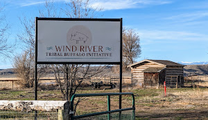 Wind River Tribal Buffalo Initiave