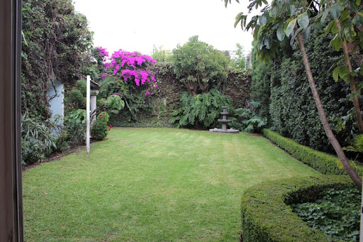 Jardineros Murcia - Mantenimiento de jardines y piscinas