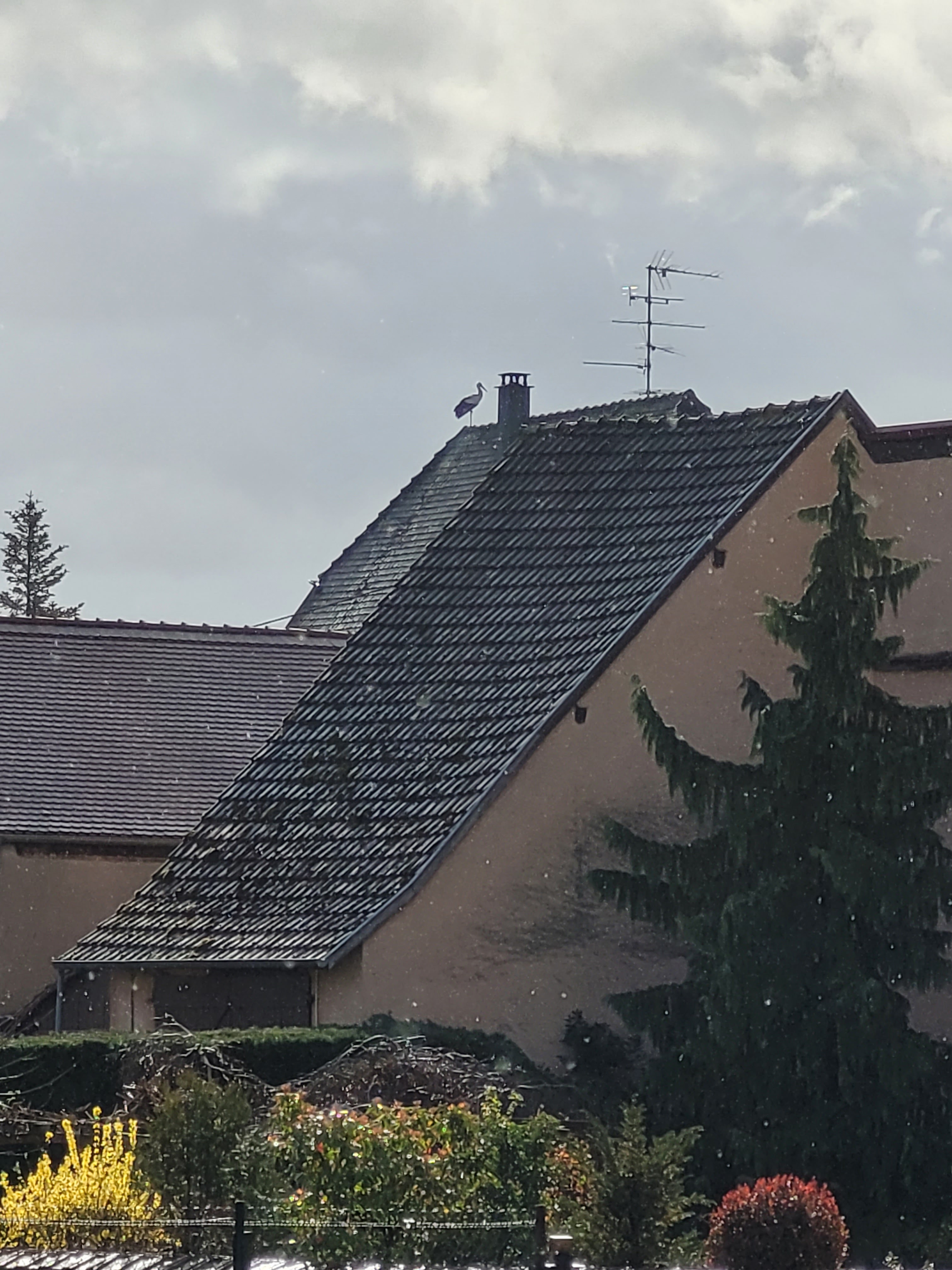 Photo n° 6 de l'avis de Ylva.o fait le 25/03/2023 à 15:10